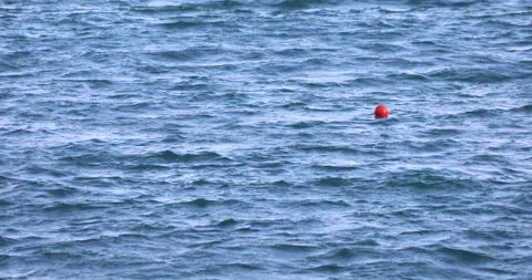 Ocean Waves With Red Buoy In Sunlight 4K Stock-Footage 156256904