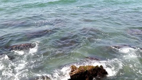 Ocean waves on rocks, Close up, bird jumping Stock Footage 78042090