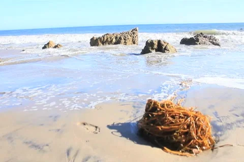 Ocean Waves with Rocks &amp; Seaweed Stock Footage 4734138