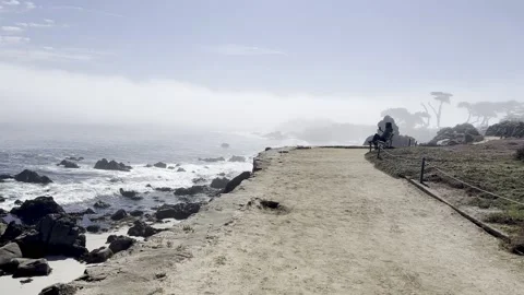 Ocean waves rocky shore Stock Footage 199495717