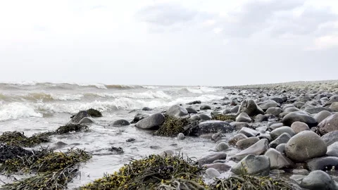 Ocean Waves Rolling Over Rocky Shoreline with Seaweed Video stock 311761258