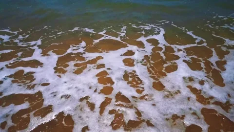 Ocean Waves Rolling Over Sandy Beach in Detailed Close-Up Summer Shot Video stock 333042663