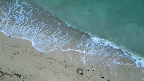 Ocean Waves Rolling Over Sandy Shore with Leaves and Natural Beach Debris Ko Stock Footage 339406482