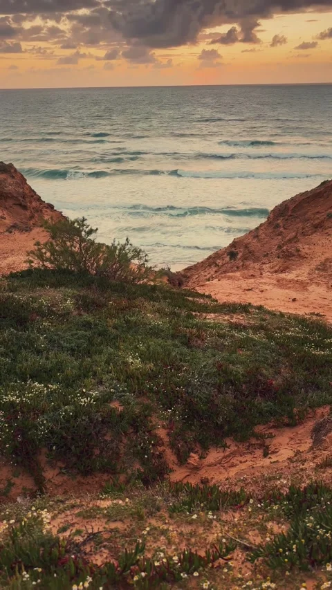 Ocean Waves Rolling Past Sandy Cliffs and Coastal Vegetation at Sunset Stock Footage 341524038