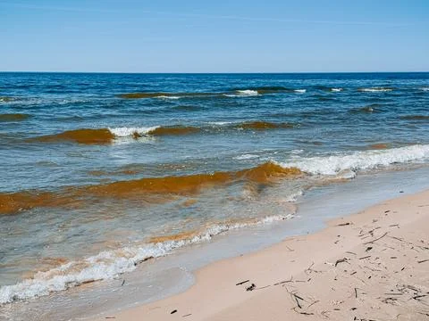 Ocean Waves Rolling onto Sandy Beach with Natural Debris Stock Photos
