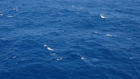 Ocean waves rolling by as viewed from above. Stock Footage 101854048