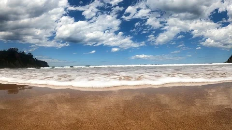 Ocean waves run on the large sandy beach Stock Footage 195113449