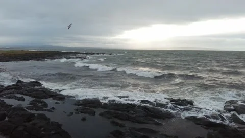 Ocean Waves, Seagull Flying, Black Rocks, Sunset, 4K Stock Footage 179488208
