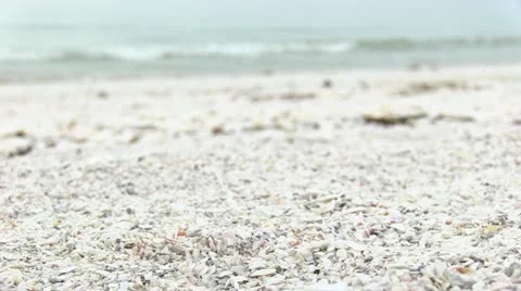 Ocean Waves on Shell Filled Beach Stock Footage 18007271