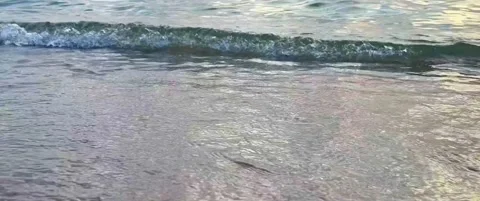 Ocean waves in the shore at beach. Stock-Footage 226615662