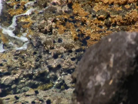 Ocean waves on shore CLOSE UP Stock Footage 709000