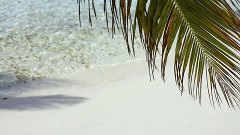 Ocean waves on the shore of exotic tropical beach. Sand, waves, palm, sun Stock Footage 231502527