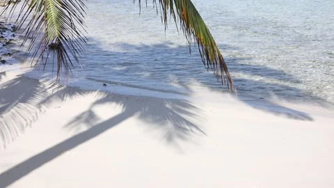 Ocean waves on the shore of exotic tropical beach. Sand, waves, palm, sun Stock Footage 231502552