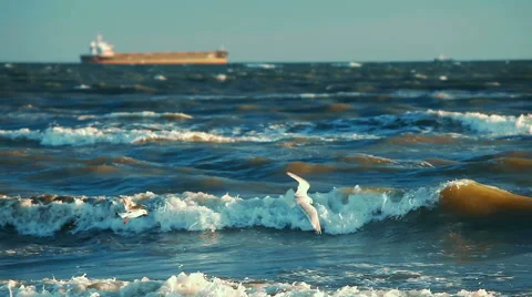Ocean waves shore ship and seagulls 스톡 동영상 54294039