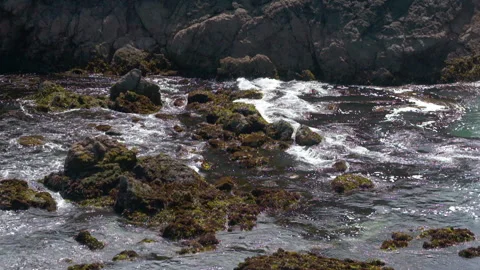 Ocean waves in slow motion over rocks and kelp HD Stock Footage 154065433