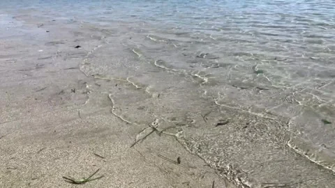 Ocean waves smooth Stock Footage 294327778