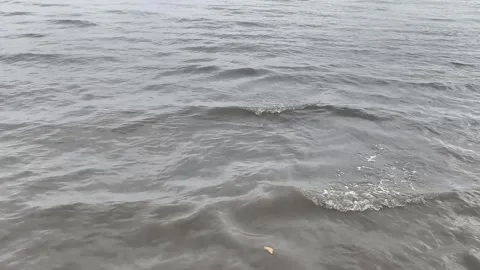 Ocean waves softly rolling towards the shore with small patches of white foam Stock Footage 340130620