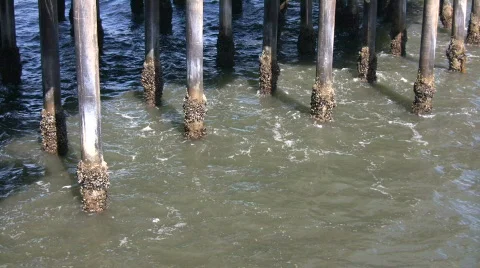 Ocean waves splash against the pier's support columns (High Definition) Stock Footage 360091