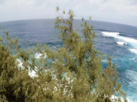 Ocean Waves On A Sunny Day 3 Video stock 83045362