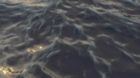 Ocean Waves at Sunrise Video stock 313974217