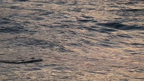 Ocean waves at sunset 動画素材 72474658