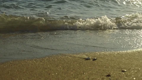 Ocean waves at sunset Stock Footage 212885400