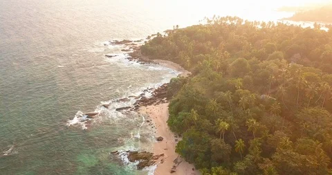 Ocean waves at sunset. Sri Lanka. Beautiful tropical beach with palm. Stock-Footage 113549971