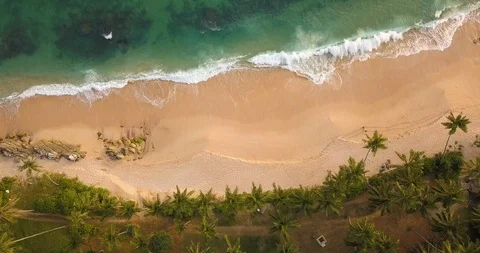 Ocean waves at sunset. Sri Lanka. Beautiful tropical beach with palm. Stock Footage 113550326