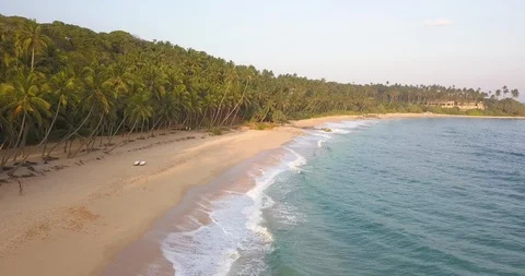 Ocean waves at sunset. Sri Lanka. Beautiful tropical beach with palm. 스톡 동영상 113550659