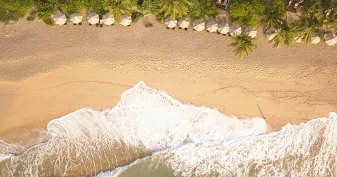 Ocean waves at sunset. Sri Lanka. Beautiful tropical beach with palm. Vídeo Stock 113551214