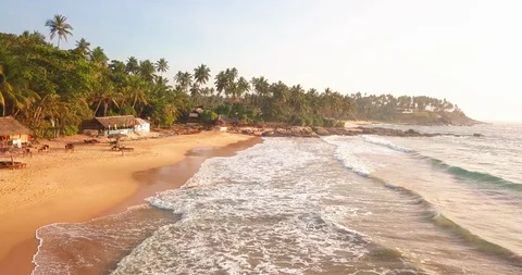 Ocean waves at sunset. Sri Lanka. Beautiful tropical beach with palm. 스톡 동영상 113551985