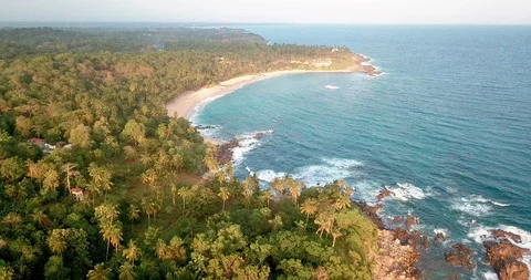 Ocean waves at sunset. Sri Lanka. Beautiful tropical beach with palm. Stock Footage 113596846