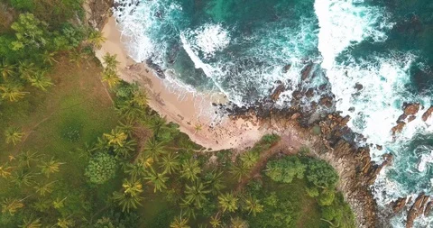 Ocean waves at sunset. Sri Lanka. Beautiful tropical beach with palm. Video stock 116426024