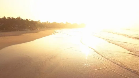 Ocean waves at sunset. Sri Lanka. Beautiful tropical beach with palm. Vídeo Stock 121139832