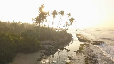 Ocean waves at sunset. Sri Lanka. Beautiful tropical beach with palm. Vídeo Stock 121580483