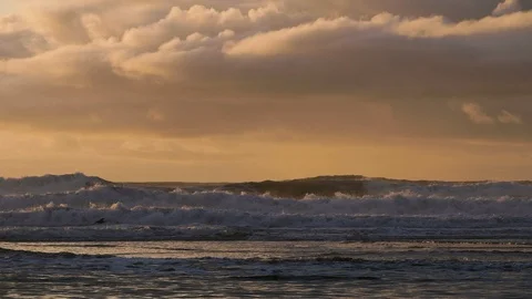 Ocean waves at sunset two birds flying across sunset clouds cannon beach Vidéo 122806414