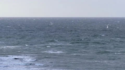 Ocean waves with surfers - view from the steep coast - natural water background Stock Footage 143853668