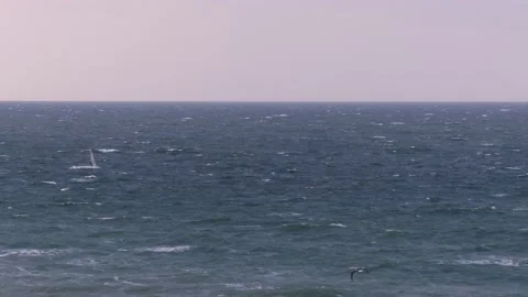 Ocean waves with surfers - view from the steep coast - natural water background Stock Footage 143858377
