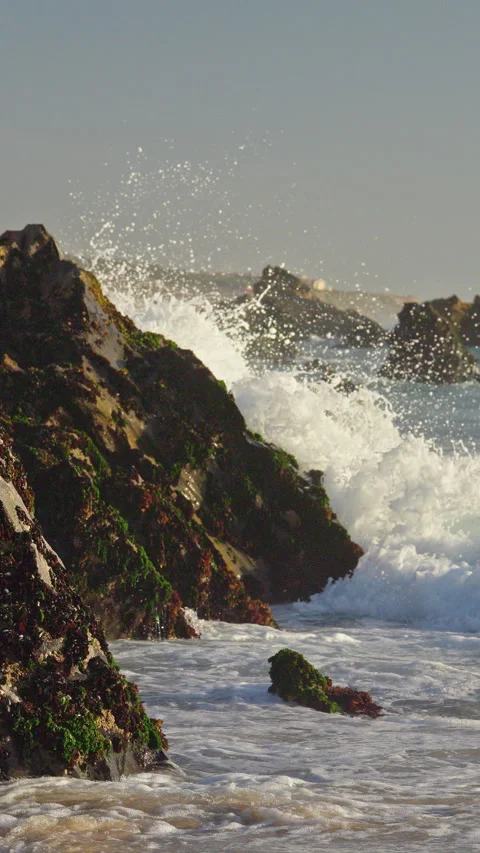 Ocean Waves Surge Over Seaweed Covered Portugal Rocks Video stock 342342669