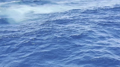 Ocean Waves, Sydney, Australia Stock Footage 307570324
