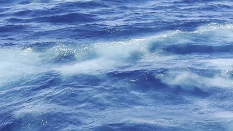 Ocean Waves Sydney Australia Stock Footage 307570750