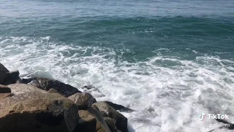 Ocean waves, tides, ocean view Vidéo 140693044