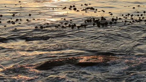 Ocean waves wash gently over a rock at dawn Stock Footage 62698403