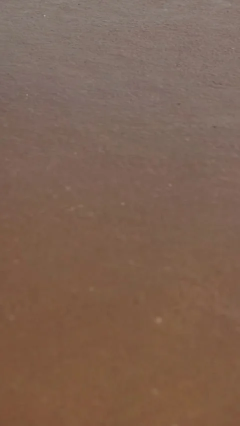Ocean waves wash onto sandy beach in bright sunlight Video stock 331778730