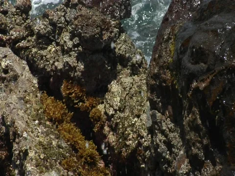 Ocean waves washes thru rocks Stock Footage 708922