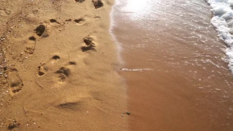 Ocean waves washing away human footprints on a sandy beach at sunset Video stock 342210060