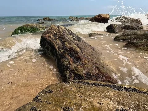 Ocean Waves Washing Over Coastal Rocks and Bare Feet on Sunny Day Stock Footage 319767073