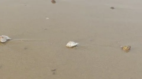 Ocean waves washing over colorful seashells on the sandy beach. Stock Footage 344827135
