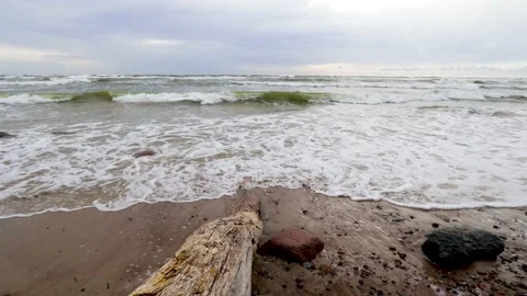Ocean waves washing over old dead tree trunk Video stock 131804427