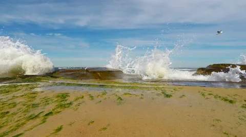 Ocean Waves Washing Over the Rocks at the Beach  Stock Footage 66006772